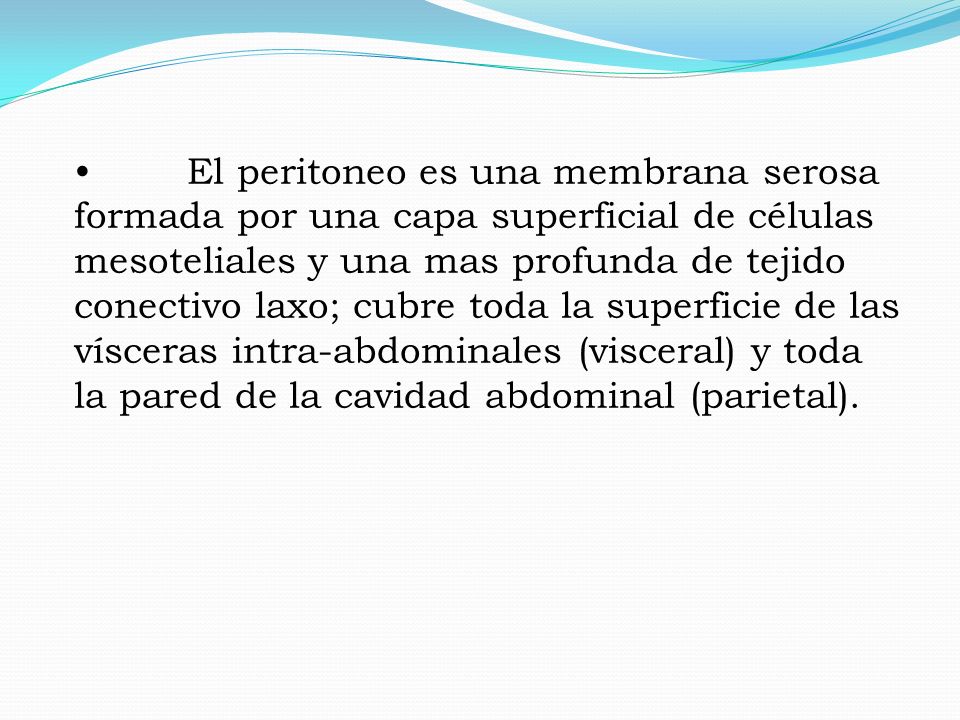 El peritoneo es una membrana serosa formada por una capa superficial de células mesoteliales y una mas profunda de tejido conectivo laxo; cubre toda la superficie de las vísceras intra-abdominales (visceral) y toda la pared de la cavidad abdominal (parietal).