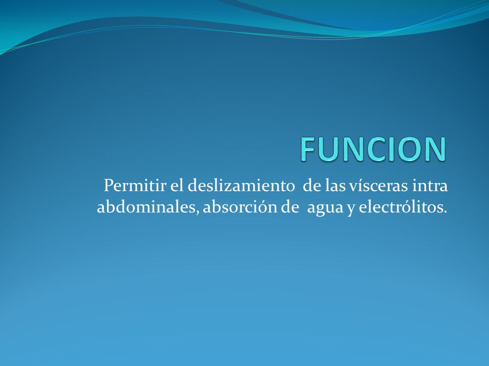 FUNCION Permitir el deslizamiento de las vísceras intra abdominales, absorción de agua y electrólitos.