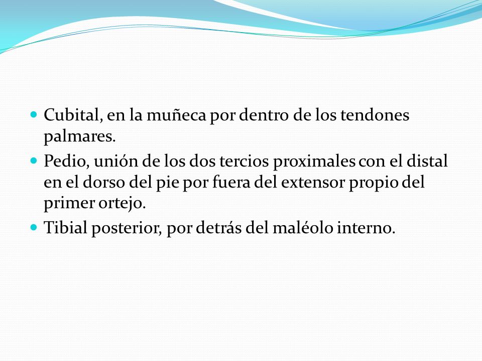 Cubital, en la muñeca por dentro de los tendones palmares.