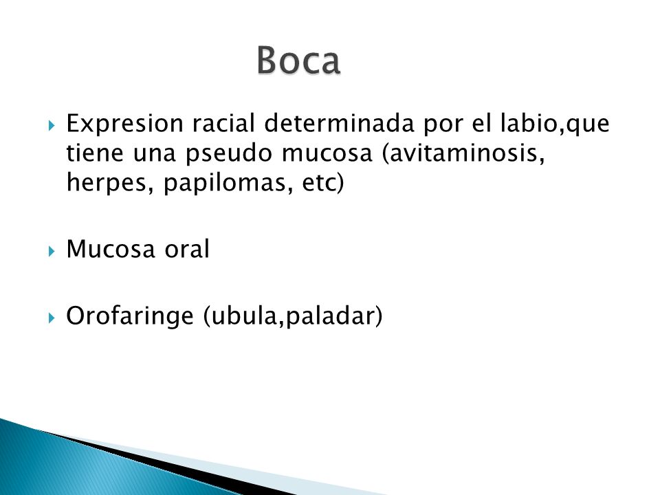 Boca Expresion racial determinada por el labio,que tiene una pseudo mucosa (avitaminosis, herpes, papilomas, etc)