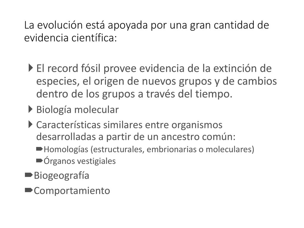 La evolución está apoyada por una gran cantidad de evidencia científica: