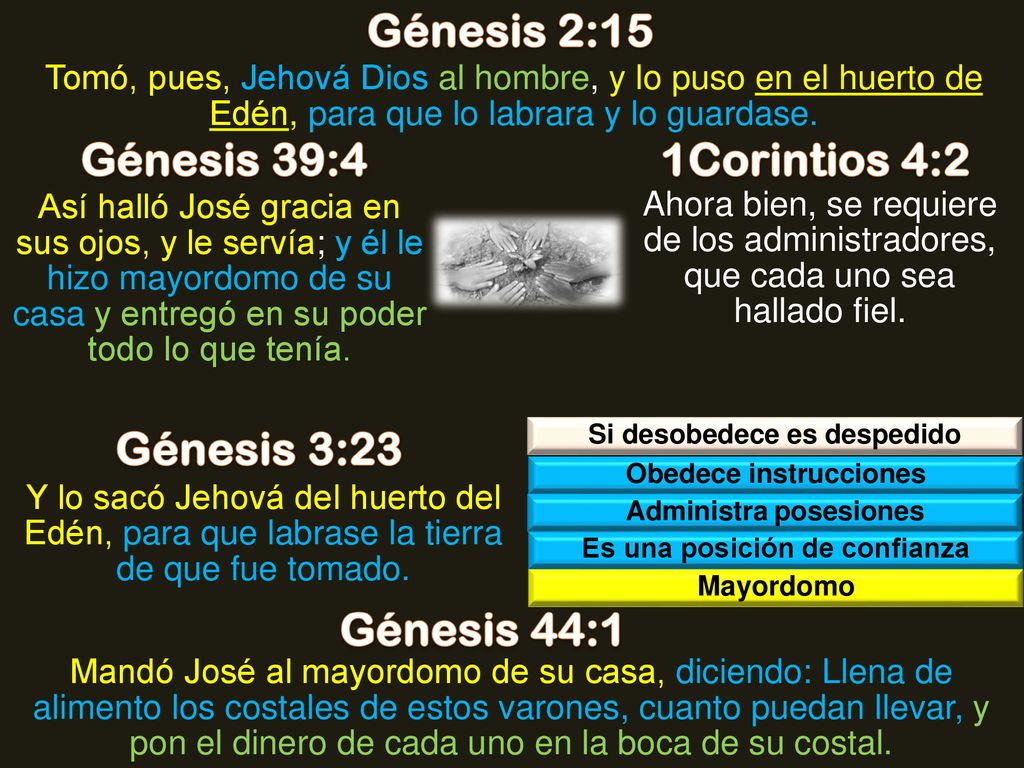 Génesis 2:15 Génesis 39:4 1Corintios 4:2 Génesis 3:23 Génesis 44:1