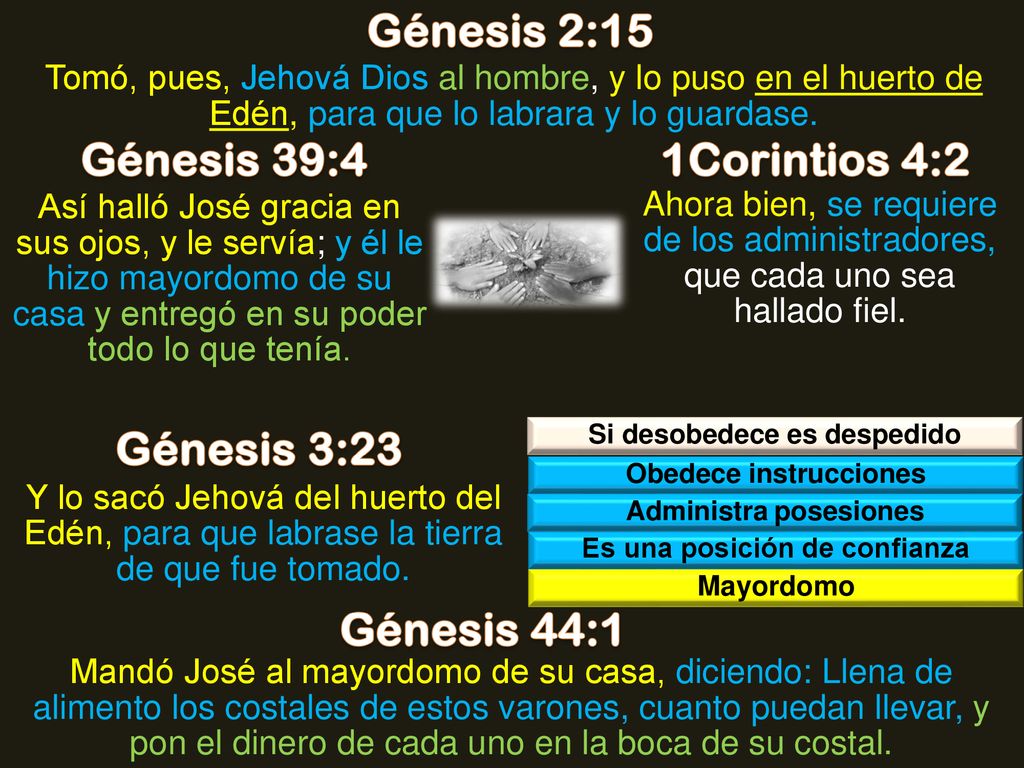 Génesis 2:15 Génesis 39:4 1Corintios 4:2 Génesis 3:23 Génesis 44:1