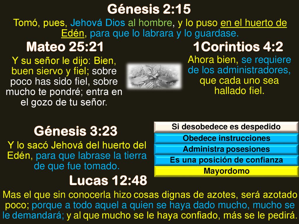Génesis 2:15 Mateo 25:21 1Corintios 4:2 Génesis 3:23 Lucas 12:48