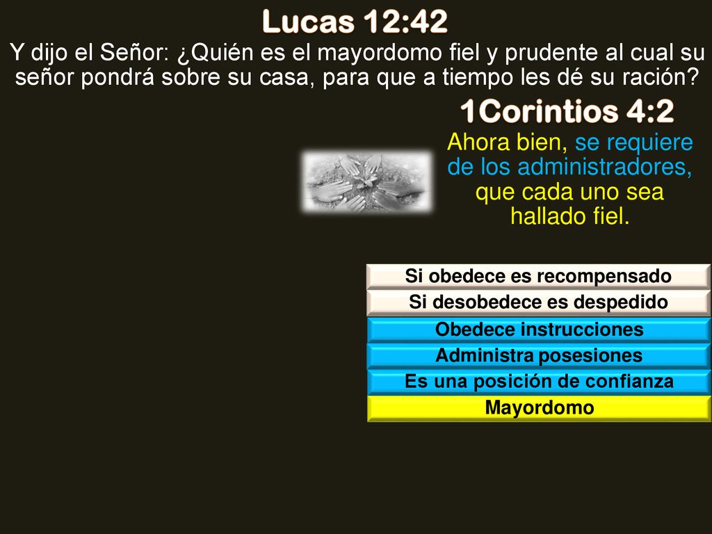 Lucas 12:42 Y dijo el Señor: ¿Quién es el mayordomo fiel y prudente al cual su señor pondrá sobre su casa, para que a tiempo les dé su ración