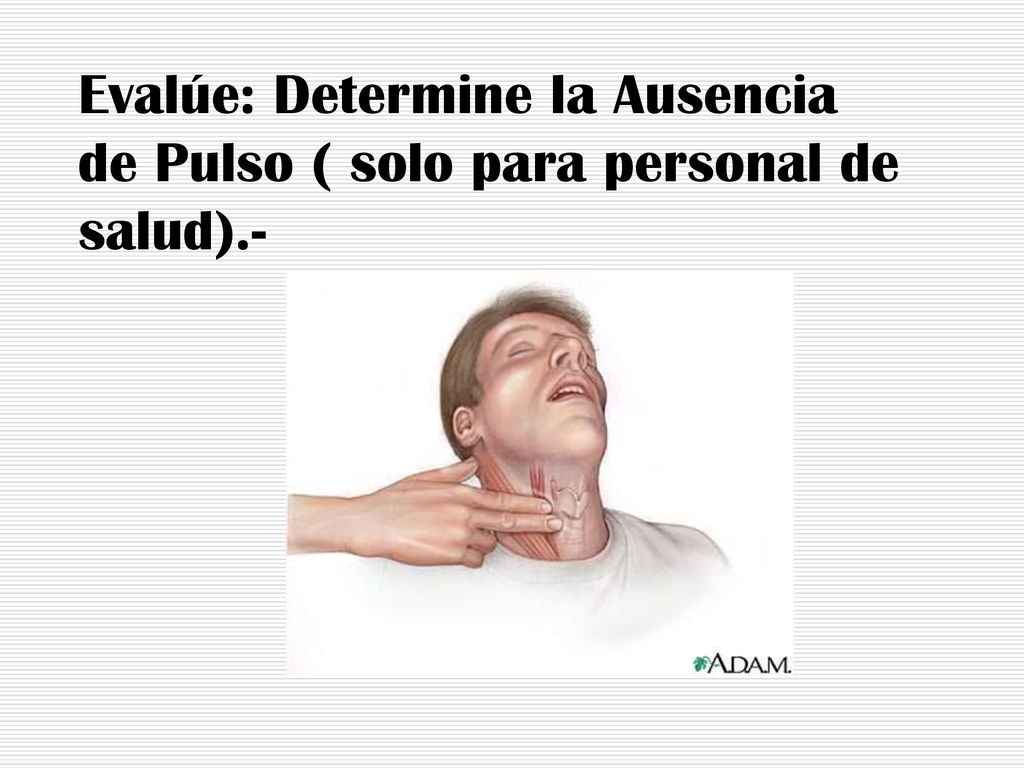 Evalúe: Determine la Ausencia de Pulso ( solo para personal de salud)