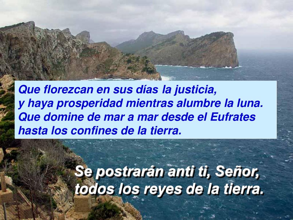 Se postrarán anti ti, Señor, todos los reyes de la tierra.
