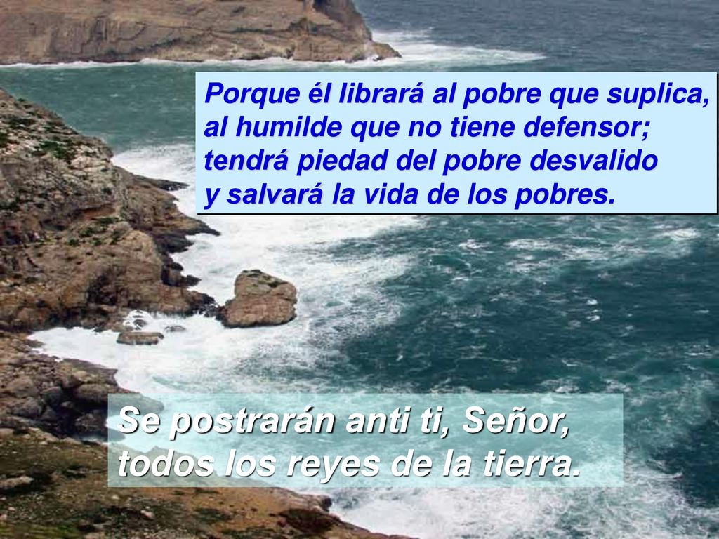 Se postrarán anti ti, Señor, todos los reyes de la tierra.