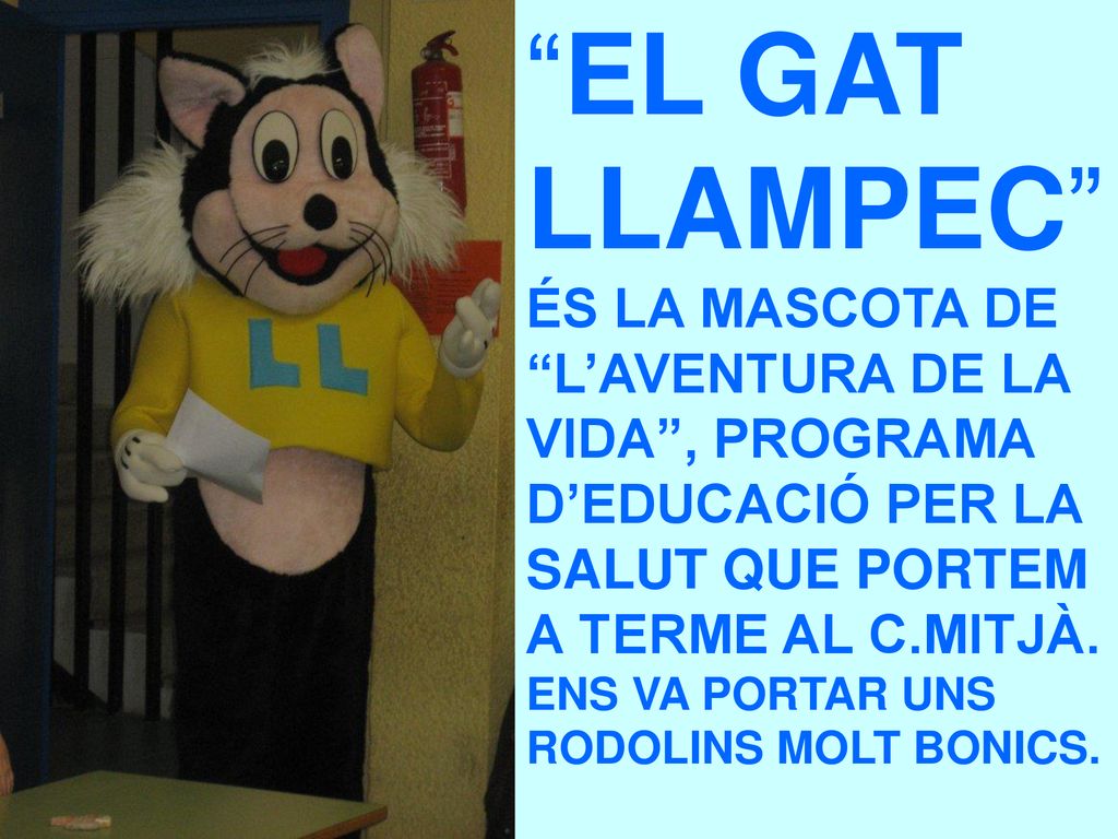 EL GAT LLAMPEC ÉS LA MASCOTA DE L’AVENTURA DE LA VIDA , PROGRAMA D’EDUCACIÓ PER LA SALUT QUE PORTEM A TERME AL C.MITJÀ.