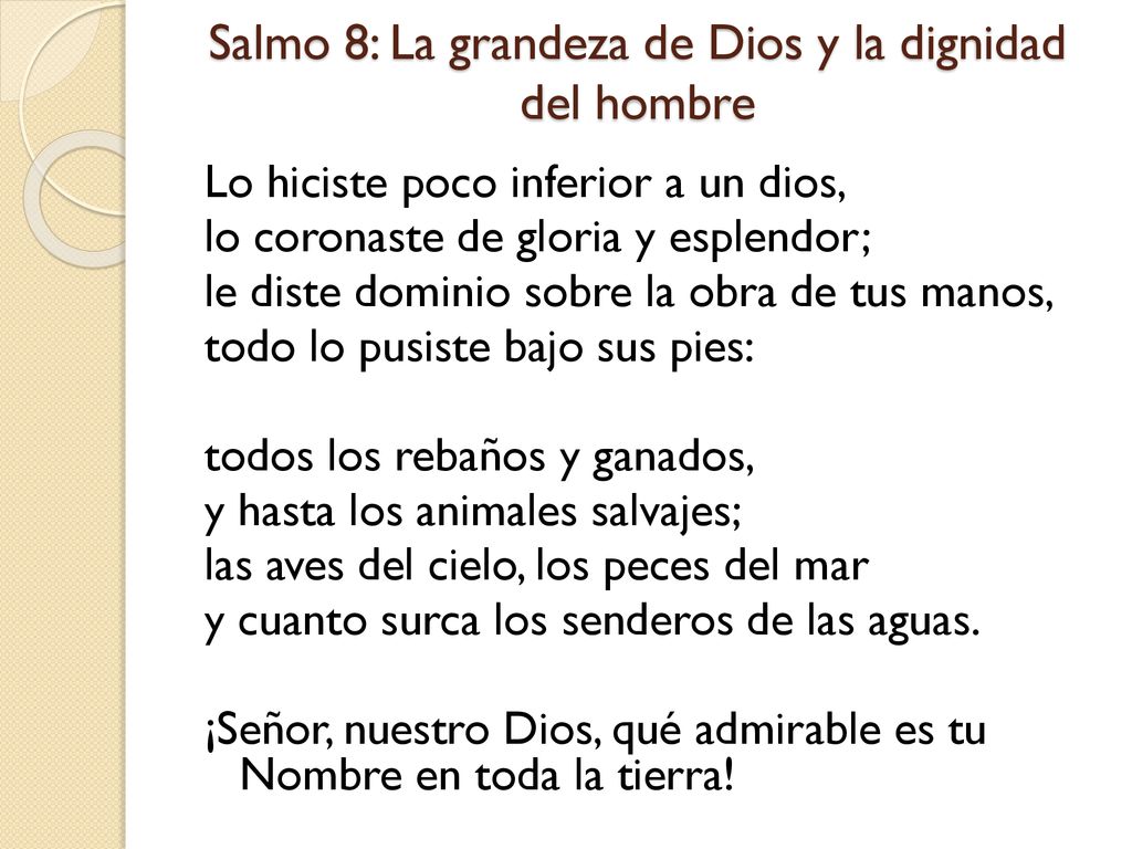 Salmo 8: La grandeza de Dios y la dignidad del hombre