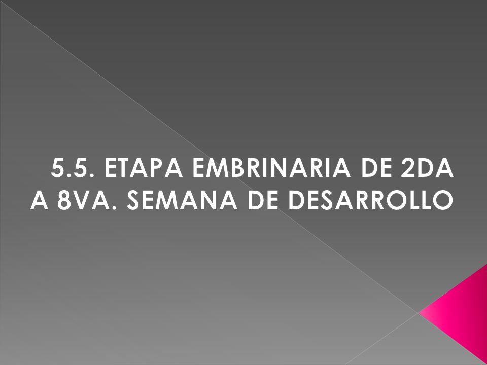 5.5. ETAPA EMBRINARIA DE 2DA A 8VA. SEMANA DE DESARROLLO