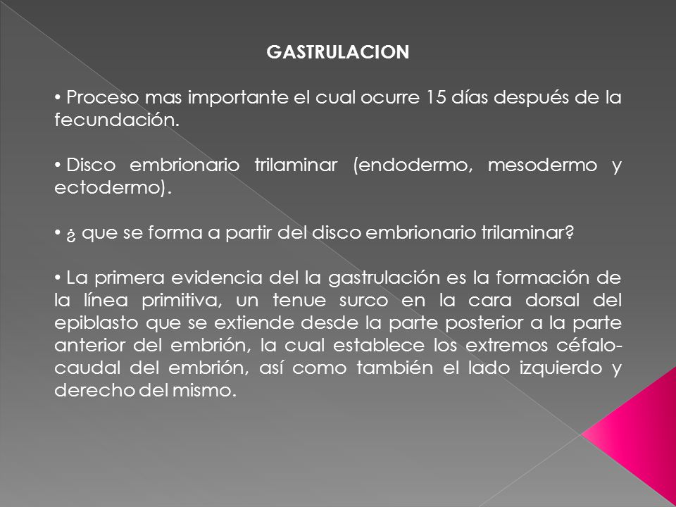 GASTRULACION Proceso mas importante el cual ocurre 15 días después de la fecundación.