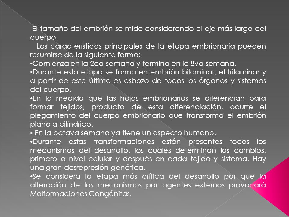 El tamaño del embrión se mide considerando el eje más largo del cuerpo.