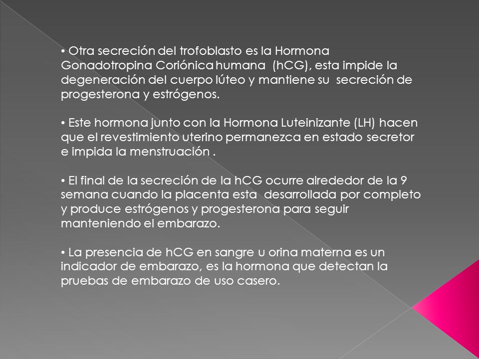Otra secreción del trofoblasto es la Hormona Gonadotropina Coriónica humana (hCG), esta impide la degeneración del cuerpo lúteo y mantiene su secreción de progesterona y estrógenos.