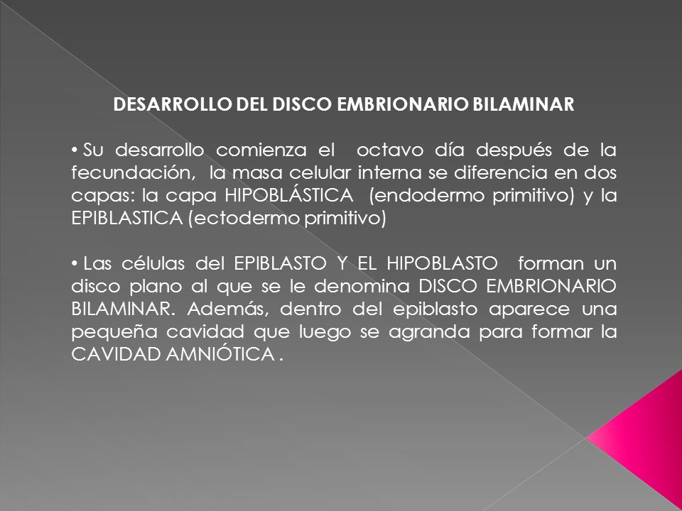 DESARROLLO DEL DISCO EMBRIONARIO BILAMINAR