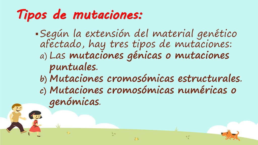 Tipos de mutaciones: Según la extensión del material genético afectado, hay tres tipos de mutaciones: