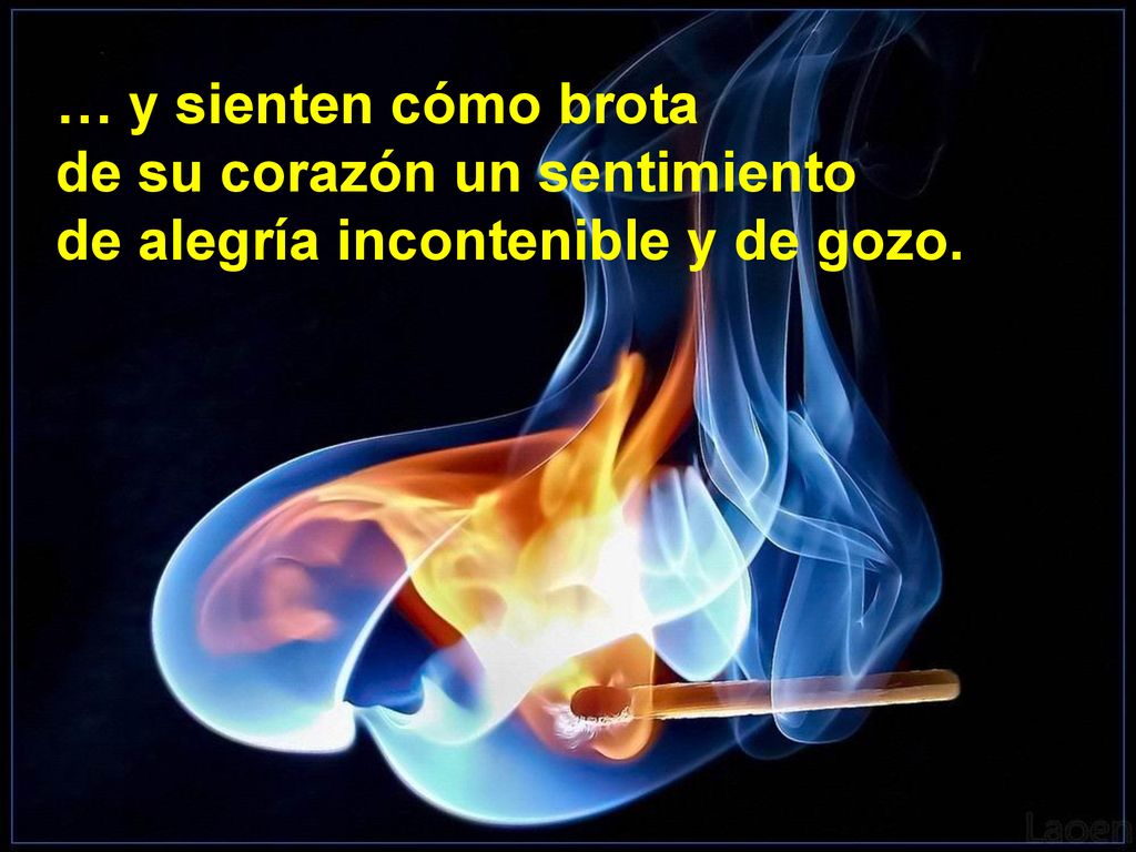 … y sienten cómo brota de su corazón un sentimiento de alegría incontenible y de gozo.