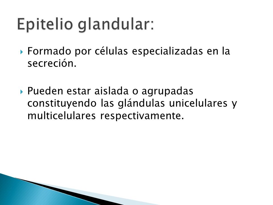 Epitelio glandular: Formado por células especializadas en la secreción.