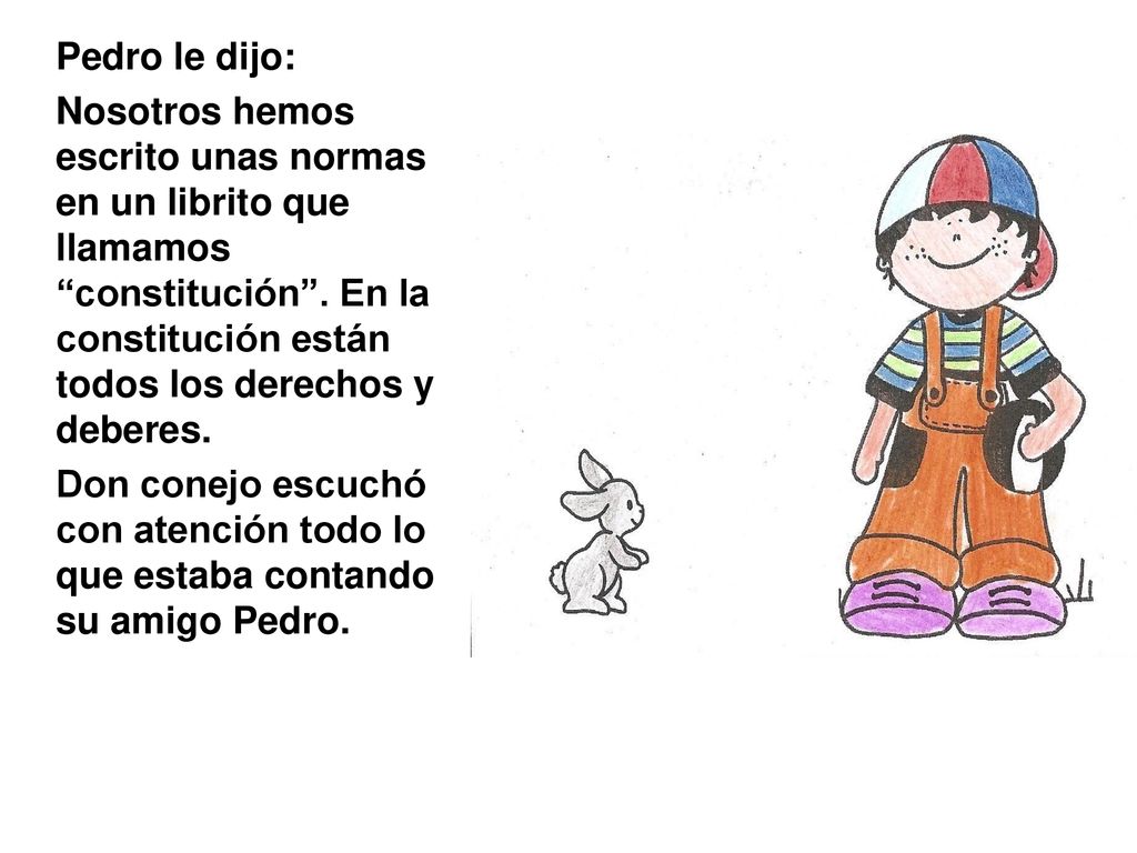 Pedro le dijo: Nosotros hemos escrito unas normas en un librito que llamamos constitución . En la constitución están todos los derechos y deberes.