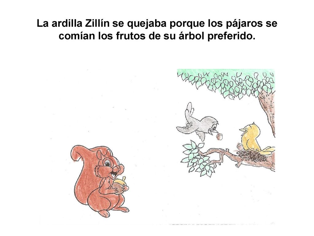 La ardilla Zillín se quejaba porque los pájaros se comían los frutos de su árbol preferido.