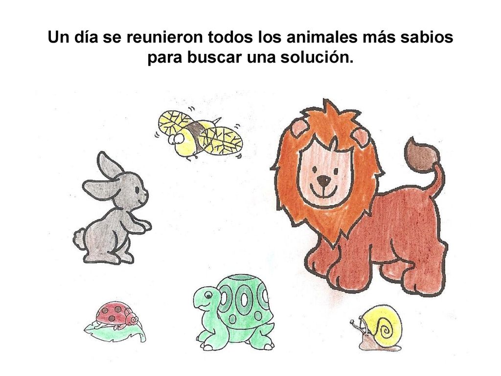 Un día se reunieron todos los animales más sabios para buscar una solución.
