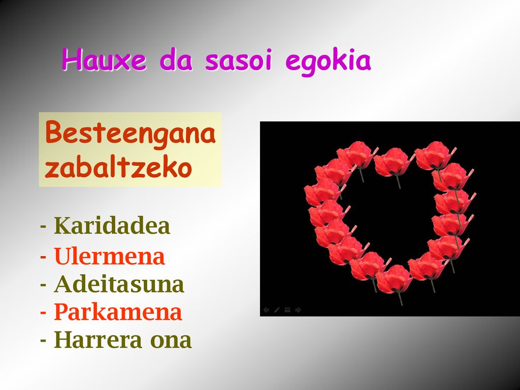 Hauxe da sasoi egokia Besteengana zabaltzeko - Karidadea - Ulermena