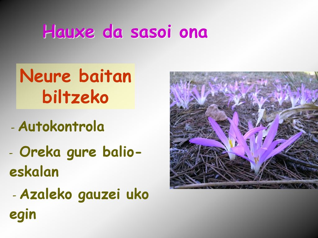 Hauxe da sasoi ona Neure baitan biltzeko - Oreka gure balio- eskalan