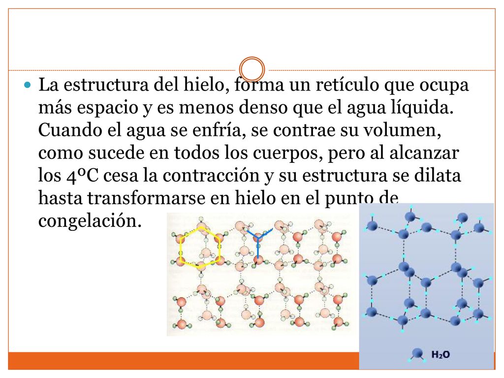 La estructura del hielo, forma un retículo que ocupa más espacio y es menos denso que el agua líquida.