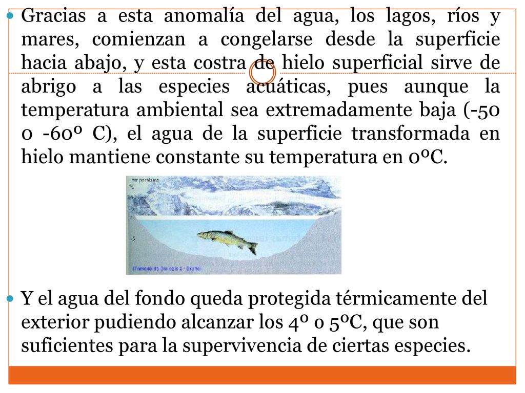 Gracias a esta anomalía del agua, los lagos, ríos y mares, comienzan a congelarse desde la superficie hacia abajo, y esta costra de hielo superficial sirve de abrigo a las especies acuáticas, pues aunque la temperatura ambiental sea extremadamente baja ( º C), el agua de la superficie transformada en hielo mantiene constante su temperatura en 0ºC.