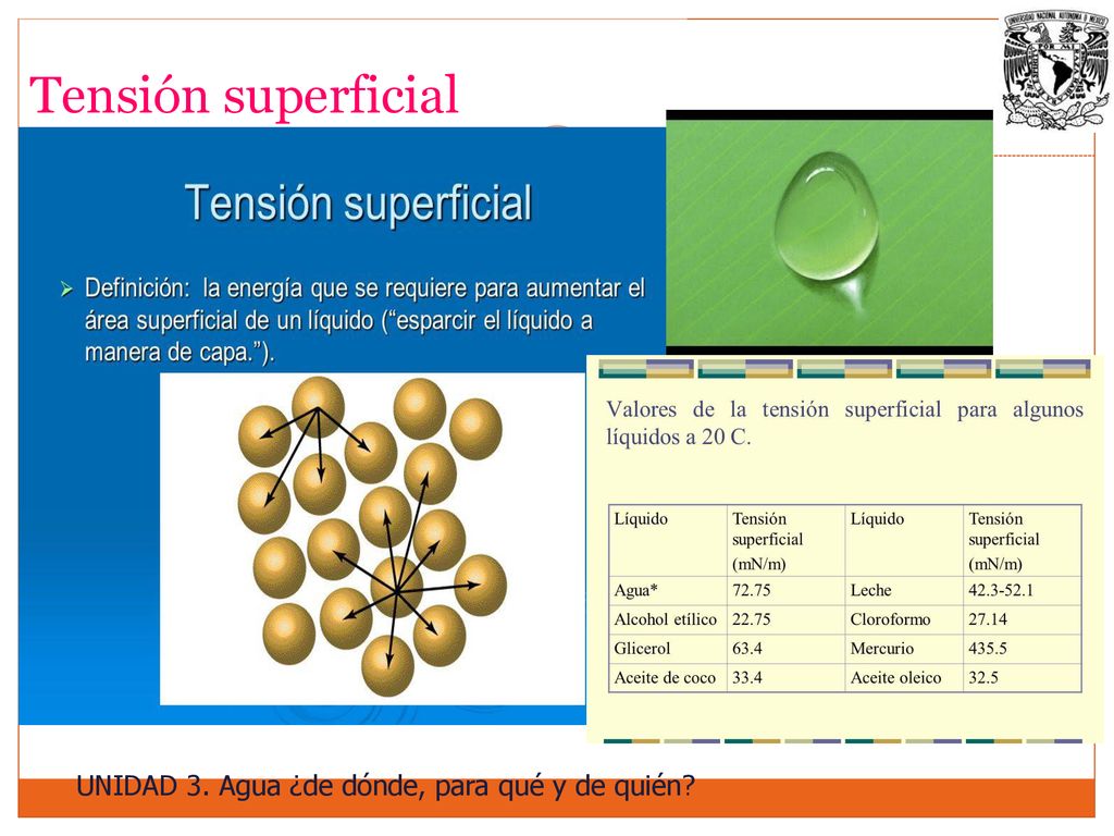 Tensión superficial UNIDAD 3. Agua ¿de dónde, para qué y de quién