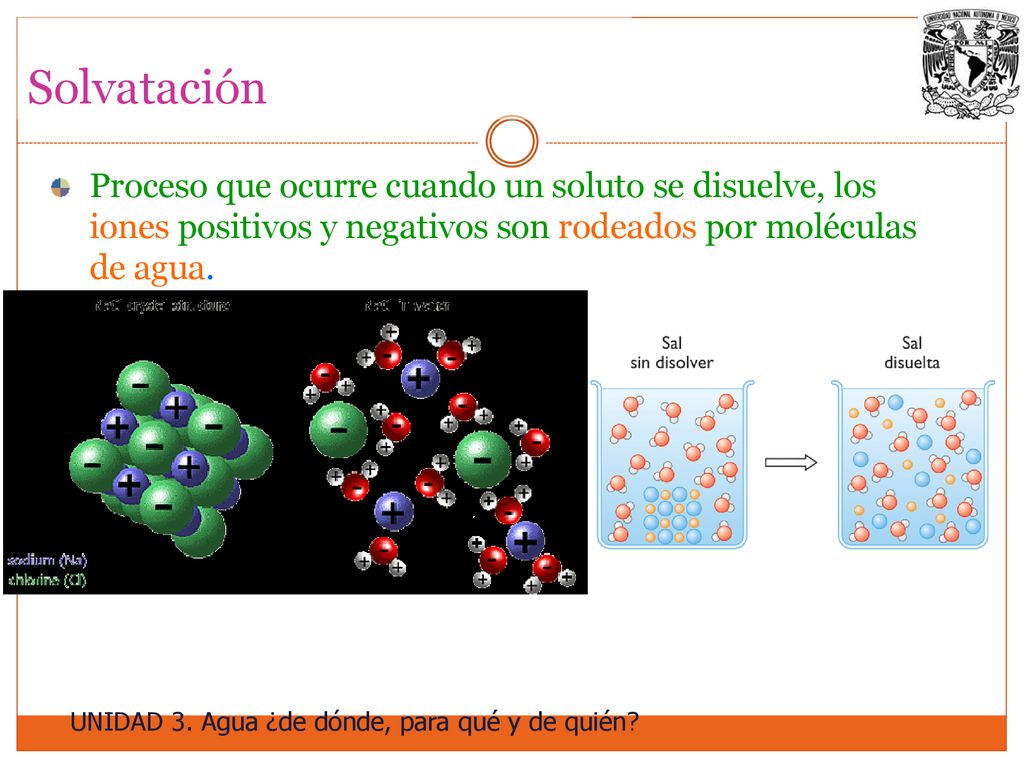 Solvatación Proceso que ocurre cuando un soluto se disuelve, los iones positivos y negativos son rodeados por moléculas de agua.