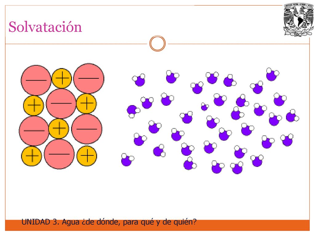 Solvatación UNIDAD 3. Agua ¿de dónde, para qué y de quién