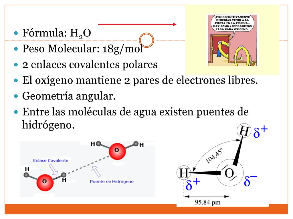 Fórmula: H2O Peso Molecular: 18g/mol. 2 enlaces covalentes polares. El oxígeno mantiene 2 pares de electrones libres.