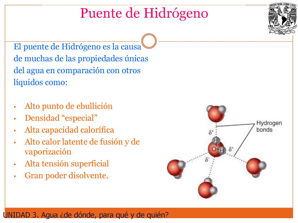 Puente de Hidrógeno El puente de Hidrógeno es la causa