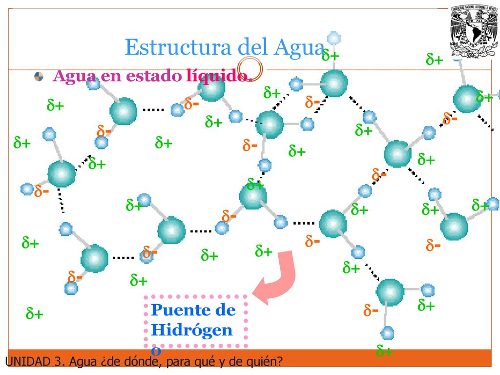 Estructura del Agua d+ d+ Agua en estado líquido. d+ d- d- d+ d+ d- d+