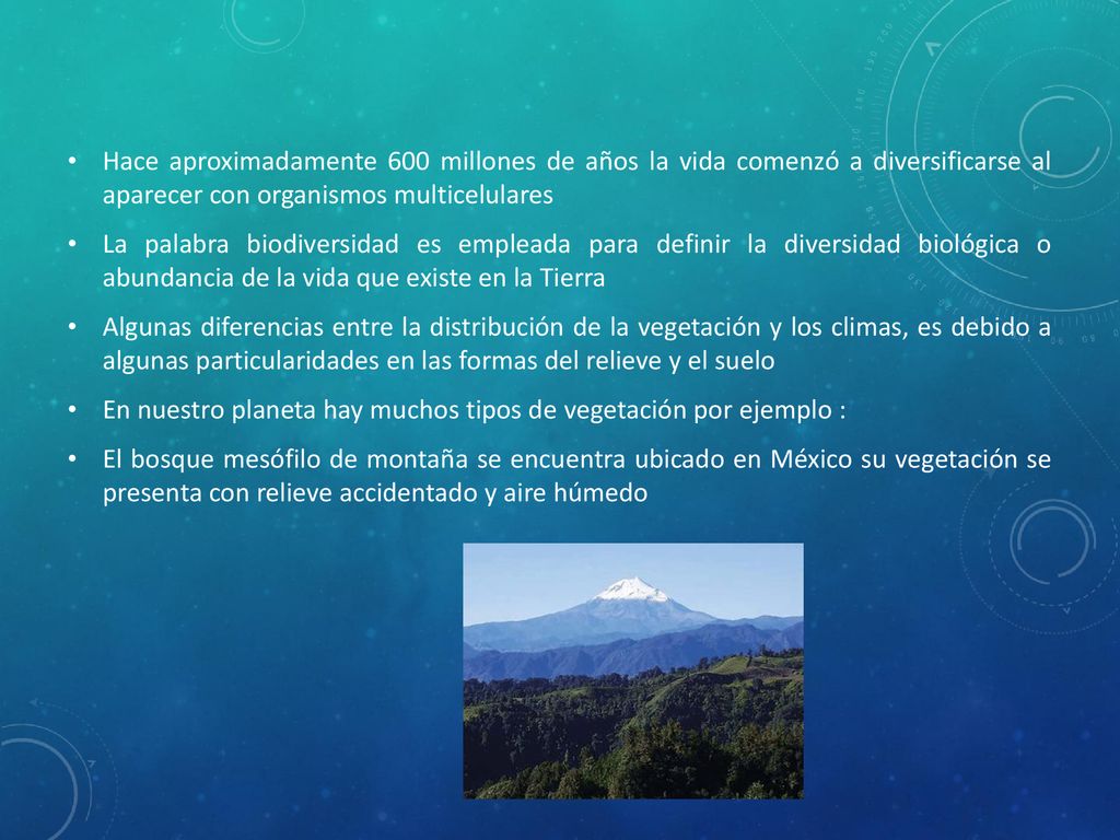 Hace aproximadamente 600 millones de años la vida comenzó a diversificarse al aparecer con organismos multicelulares