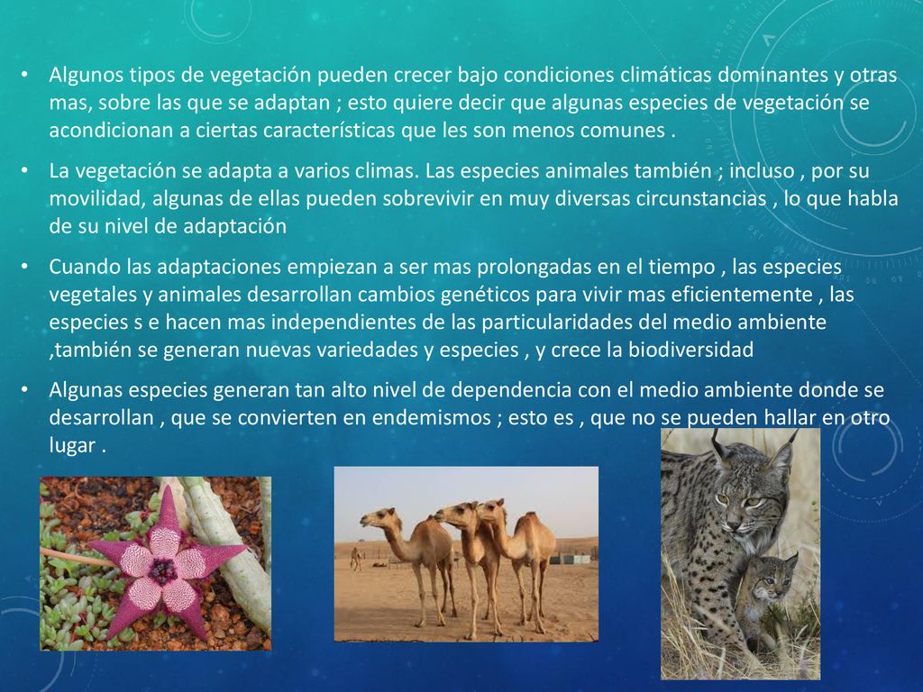 Algunos tipos de vegetación pueden crecer bajo condiciones climáticas dominantes y otras mas, sobre las que se adaptan ; esto quiere decir que algunas especies de vegetación se acondicionan a ciertas características que les son menos comunes .