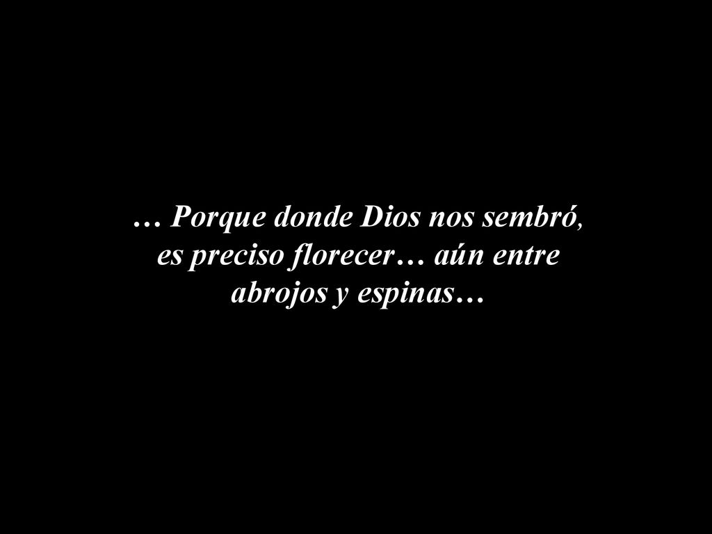 … Porque donde Dios nos sembró, es preciso florecer… aún entre abrojos y espinas…