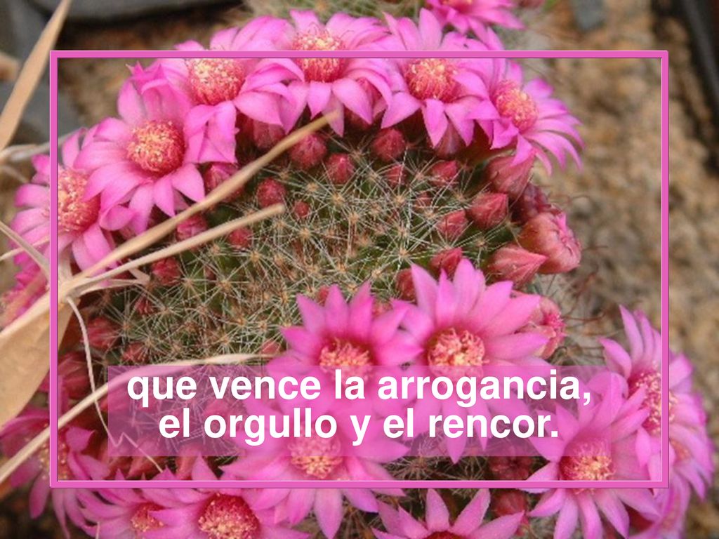 que vence la arrogancia, el orgullo y el rencor.