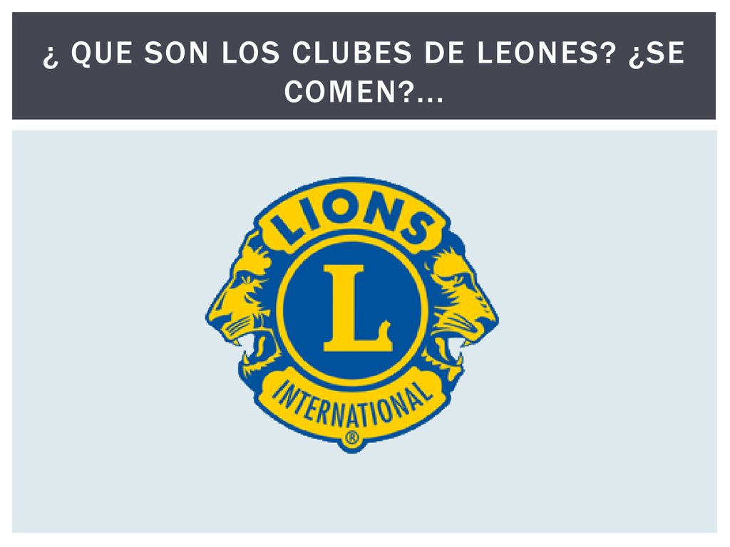 ¿ QUE SON LOS CLUBES DE LEONES ¿SE COMEN ...