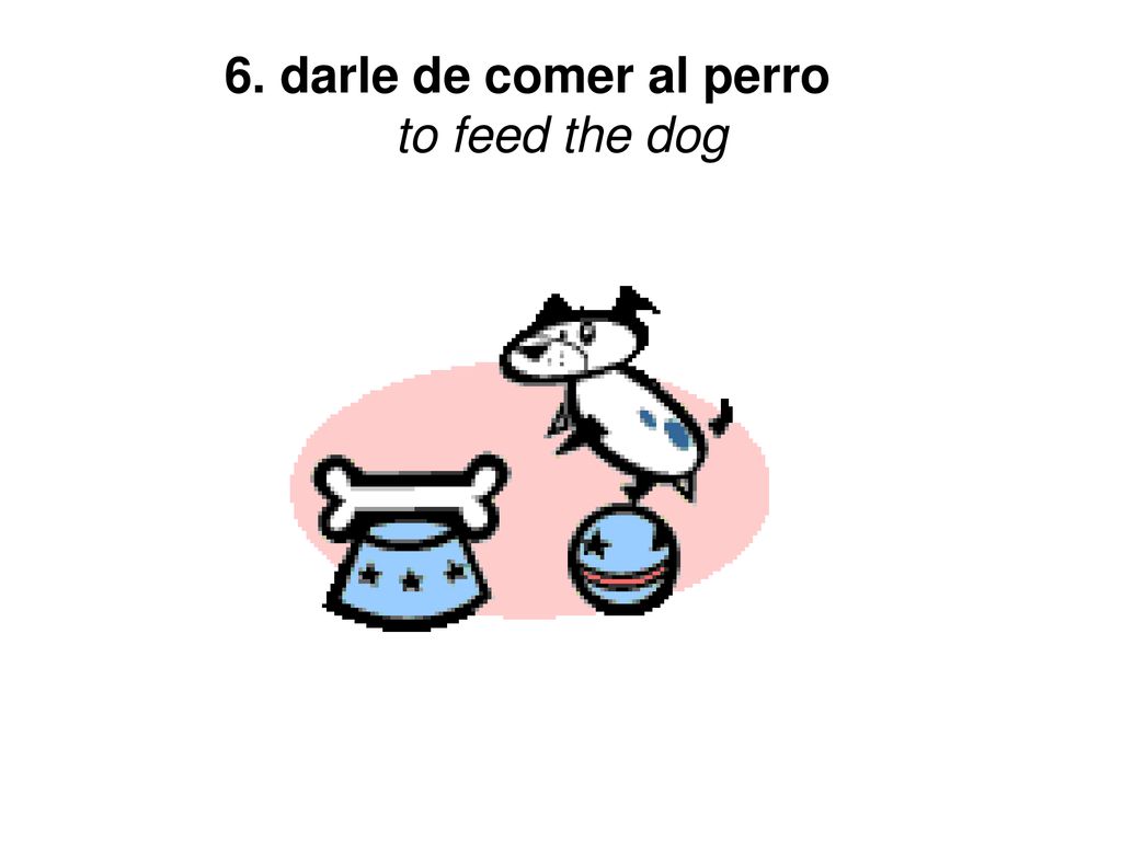 6. darle de comer al perro to feed the dog