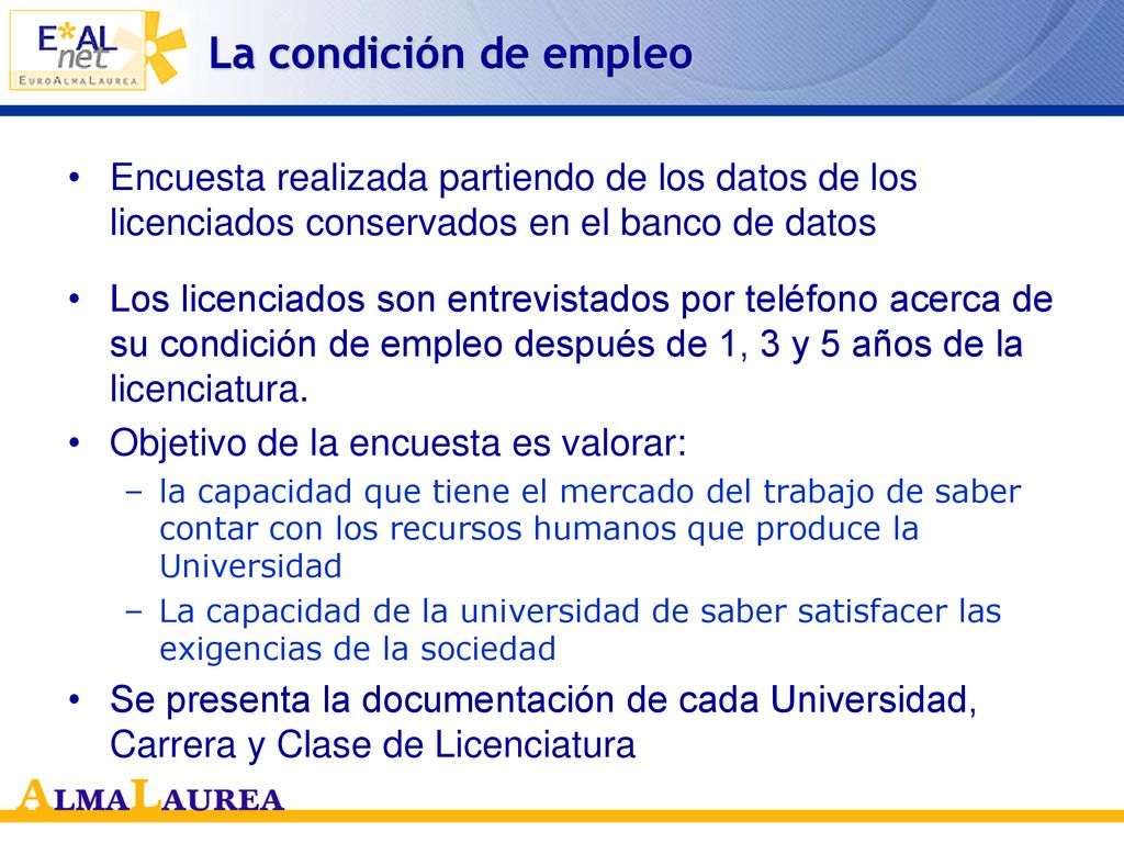 La condición de empleo Encuesta realizada partiendo de los datos de los licenciados conservados en el banco de datos.