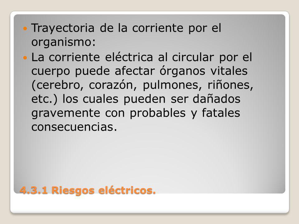 Trayectoria de la corriente por el organismo: