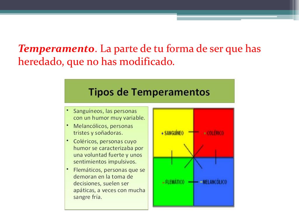 Temperamento. La parte de tu forma de ser que has heredado, que no has modificado.