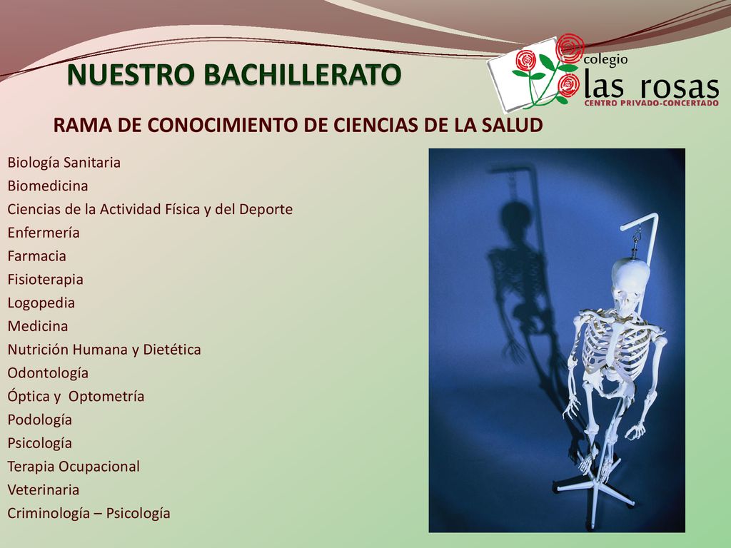 NUESTRO BACHILLERATO RAMA DE CONOCIMIENTO DE CIENCIAS DE LA SALUD