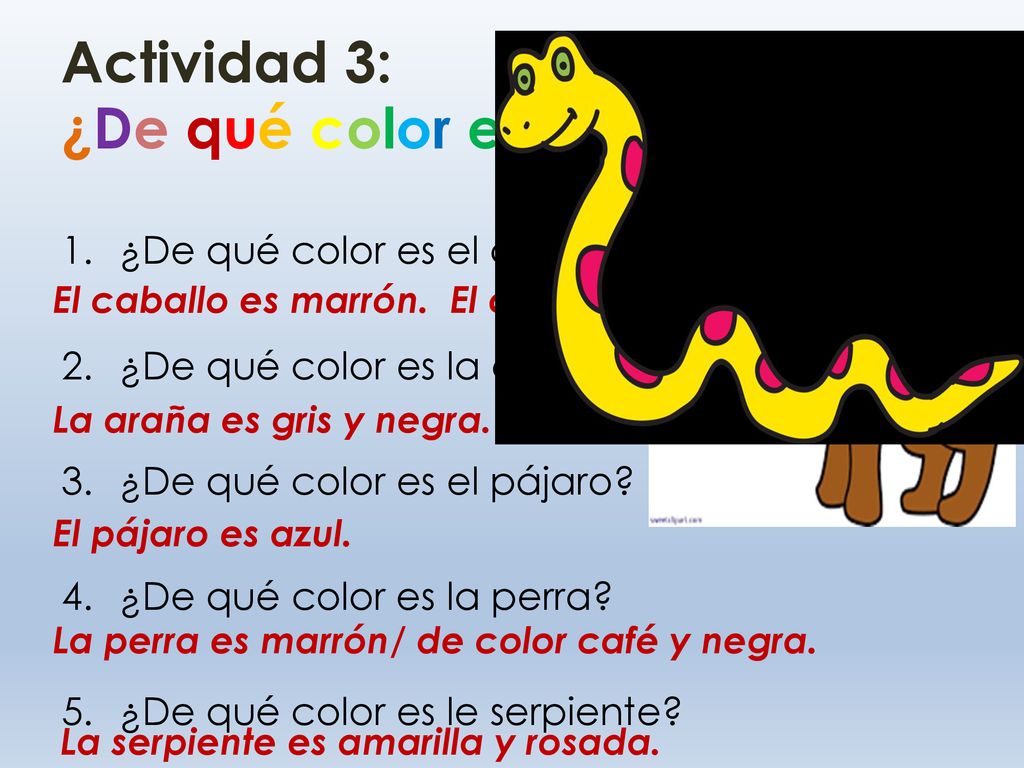 Actividad 3: ¿De qué color es…