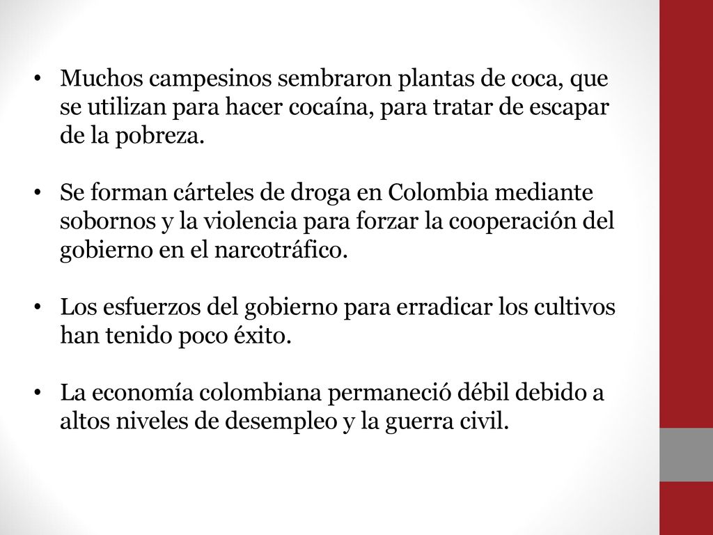 Muchos campesinos sembraron plantas de coca, que se utilizan para hacer cocaína, para tratar de escapar de la pobreza.