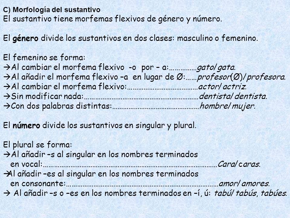 El sustantivo tiene morfemas flexivos de género y número.