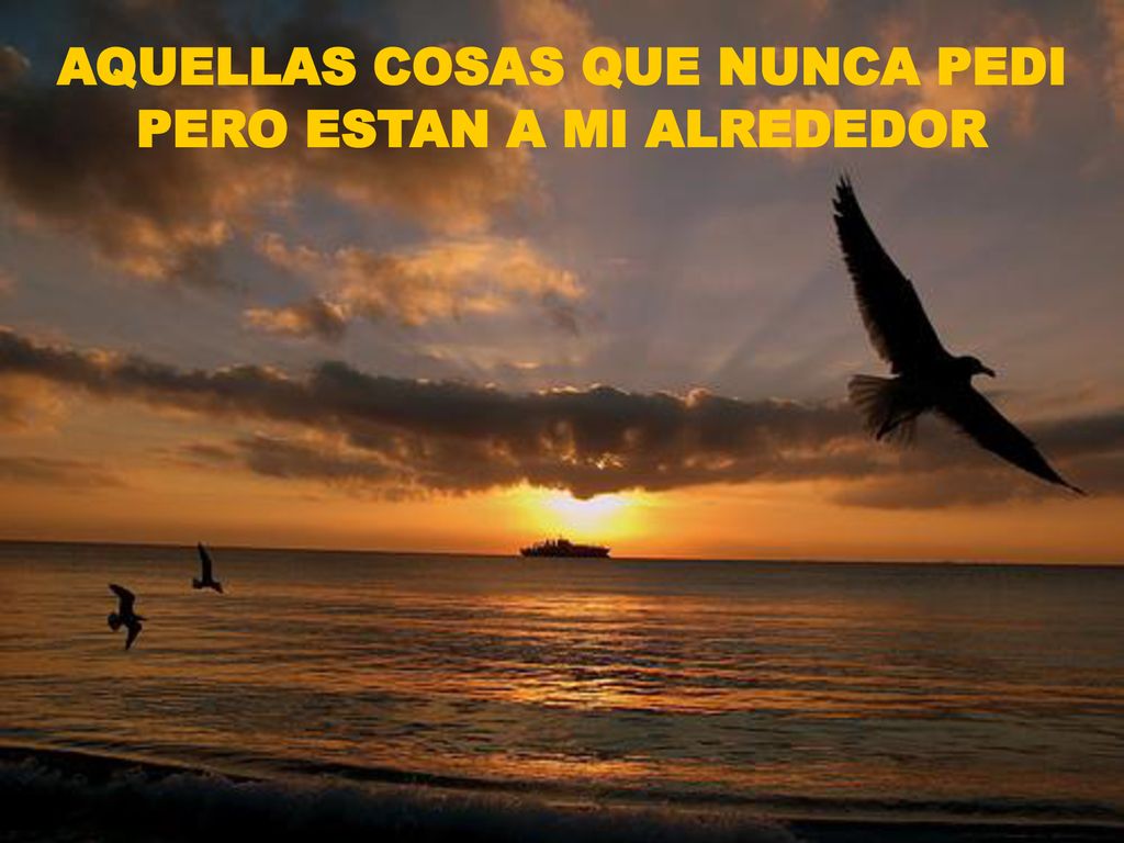 AQUELLAS COSAS QUE NUNCA PEDI PERO ESTAN A MI ALREDEDOR