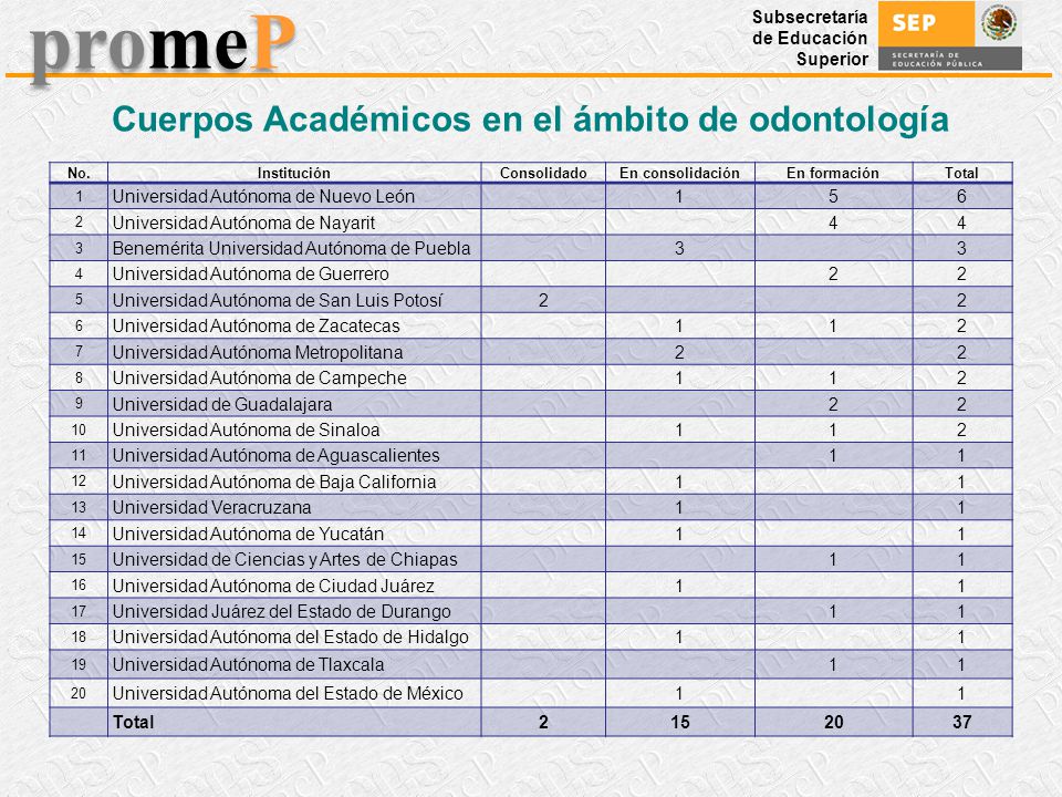 Una perspectiva de los CA en Trabajo Social (UAS )